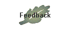 Feedback