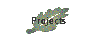 Projects