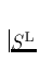 $S^{\rm L}$