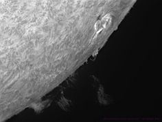 Protuberanzen und Sonnenfleck am Sonnenrand